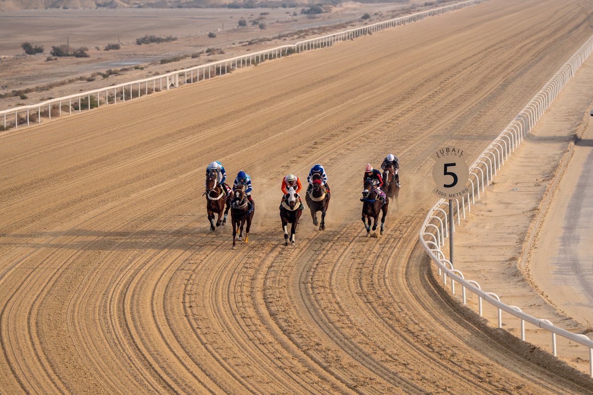 JubailHT's tweet photo. 📸|
بين صلابة المصانع واتساع المضمار…
تولد منافسة لا تعرف التباطؤ 🏇
من قلب #ميدان_فروسية_الجبيل
بعدسة المبدع سليمان الشمري 

@xb888n https://t.co/I4DoPBKITl