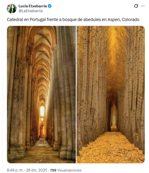 ¿Sabías que LUCÍA ETXEBARRÍA (<a href="/LaEtxebarria/">Lucia Etxebarria</a>) se enfada mucho y finge que se pone malita si le dices que todo lo que publica lo copia de los demás?