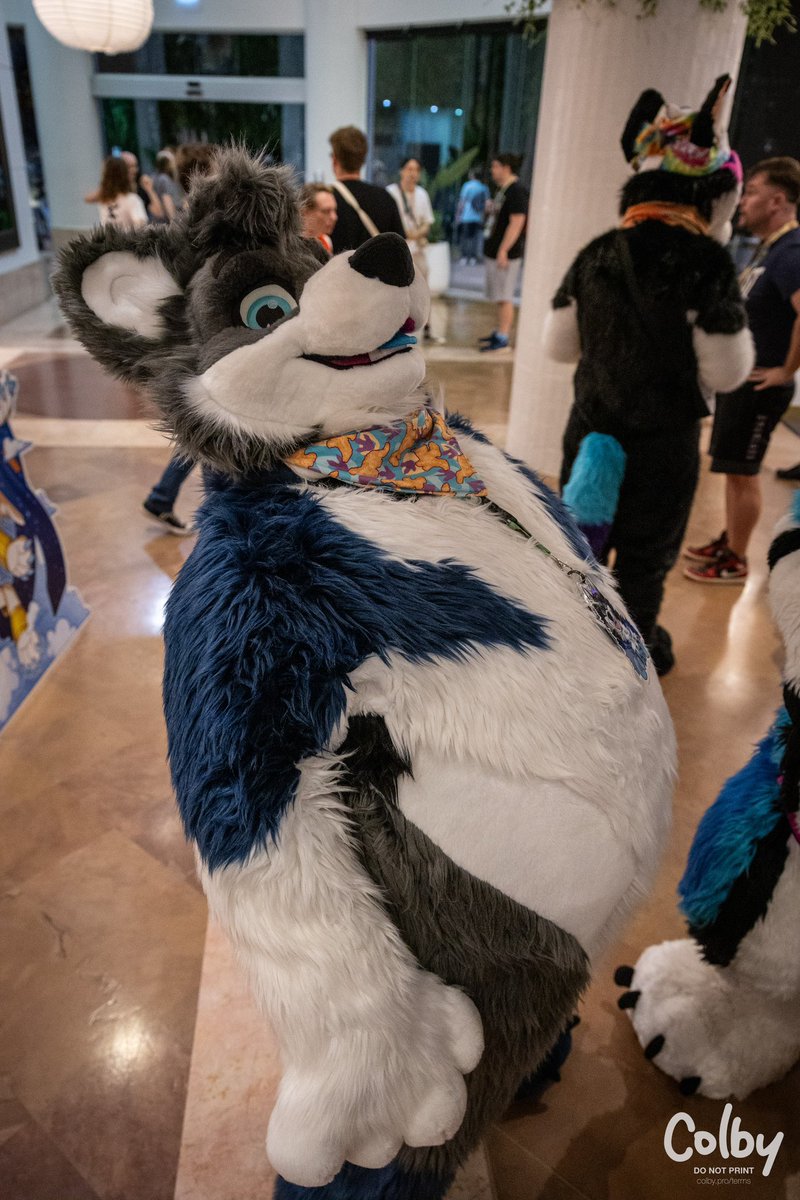 Baaaaaaaark 

#FursuitFriday