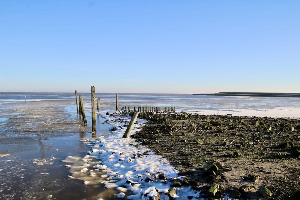 Fup Boon tweet media