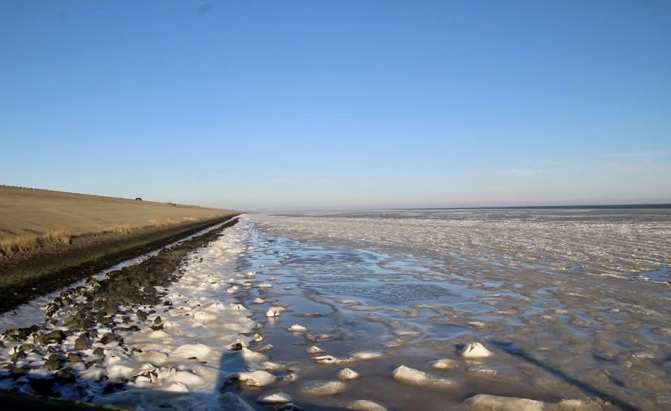 Fup Boon tweet media