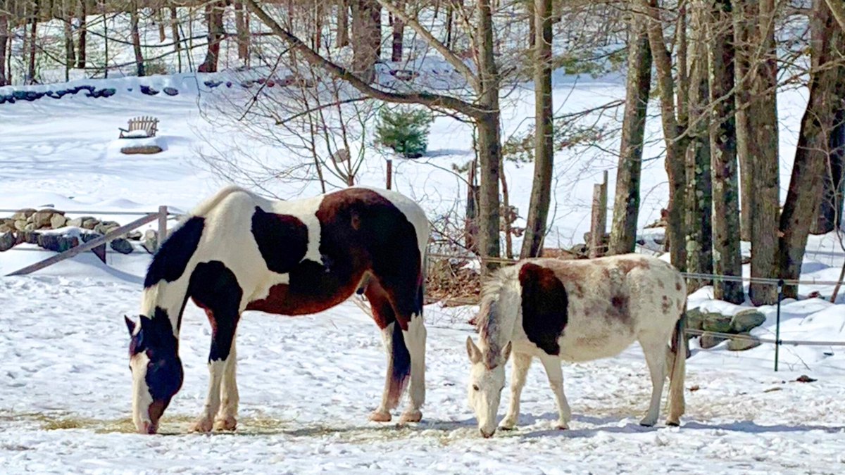 Kentucky Performance Products tweet media