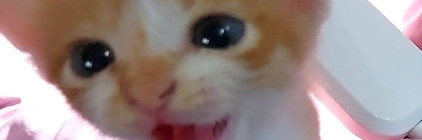 pixisippy's tweet photo. @hoxkez https://t.co/ooYiv8orQw
