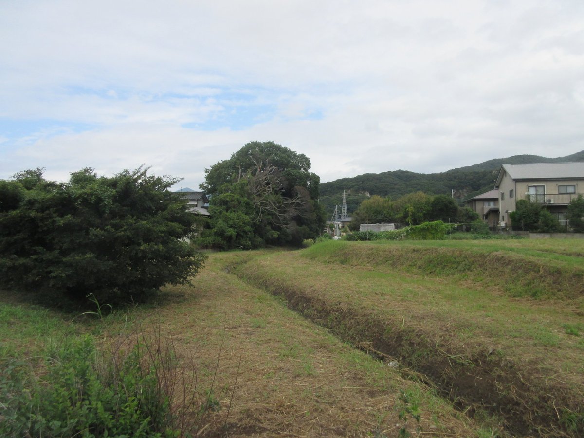 ツネタケ@福音投下 tweet media