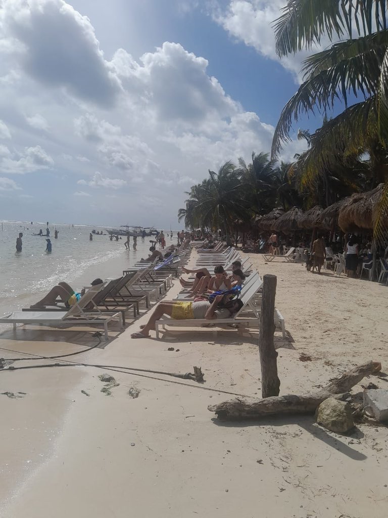 Mientras tanto #Majahual hoy viernes 26 de diciembre 2025 NINGUNA AUTORIDAD presente en las labores de recuperación tras el incendio costero. Donde andan los funcionarios que no los veo haciendo sus en vivos