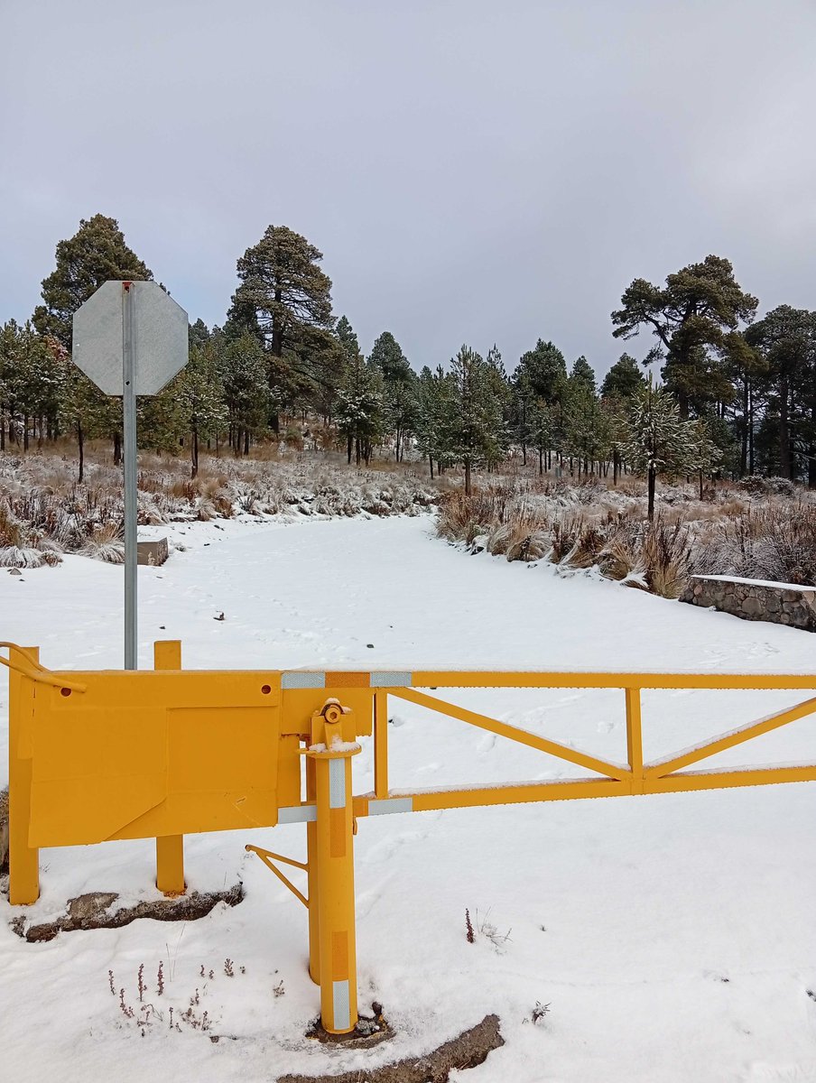 Nieve en México, concretamente en el Parque Nacional Pico de Orizaba <a href="/Conanp_PNPO/">Conanp</a> , en el acceso al Gran Telescopio Milimétrico Alfonso Serrano <a href="/gtmlmt_oficial/">GTM / LMT</a> y al Observatorio de rayos gamma <a href="/HAWC_Obs/">HAWC Observatory</a> - ventanas al universo a más de 4000 metros de altura. <a href="/inaoe_mx/">INAOE México</a>