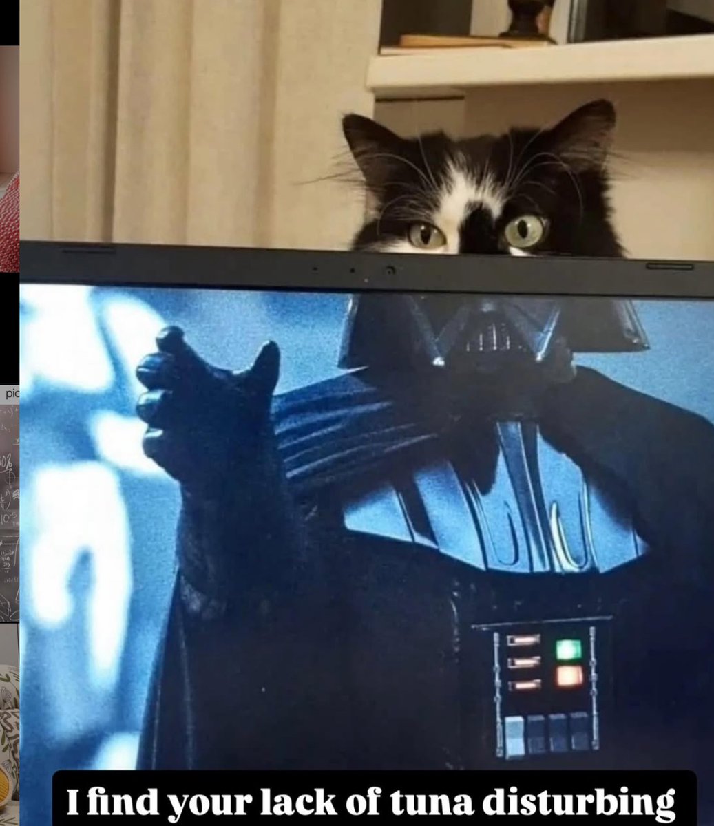 PowerfulAuraX's tweet image. 