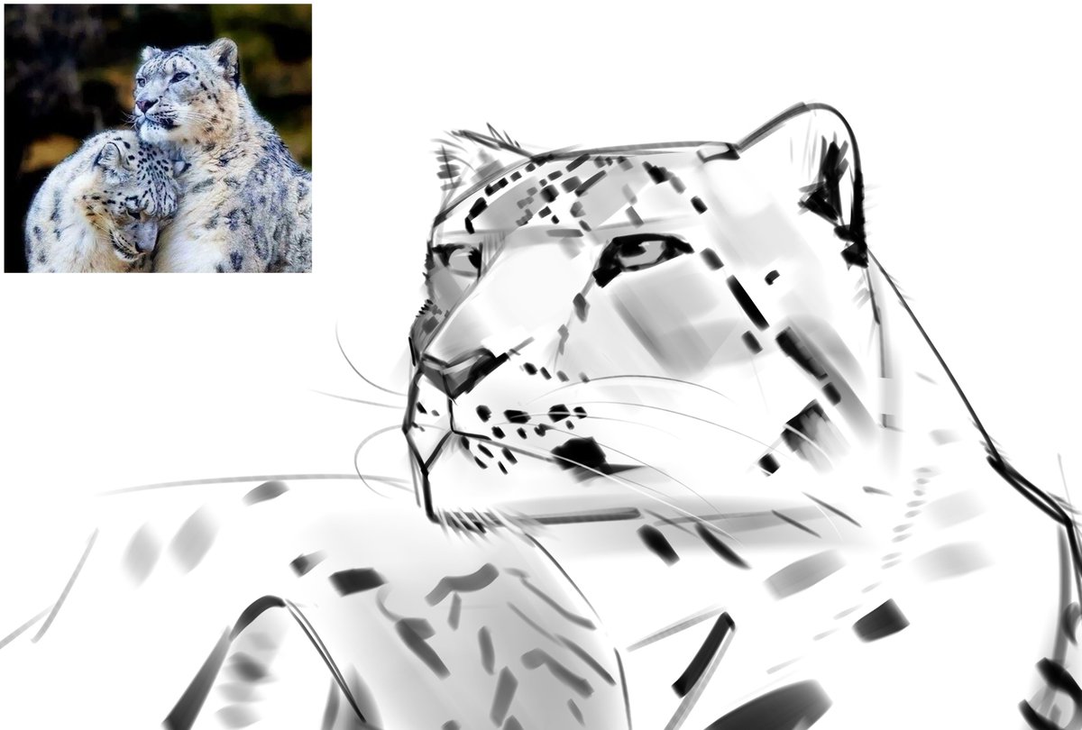 AR Animates tweet media