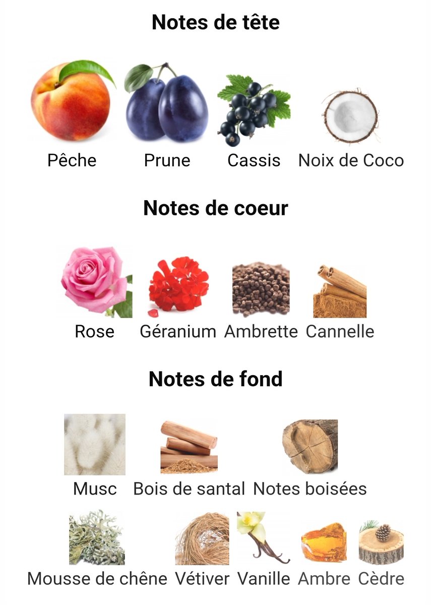 SHAKUYAKU tweet media