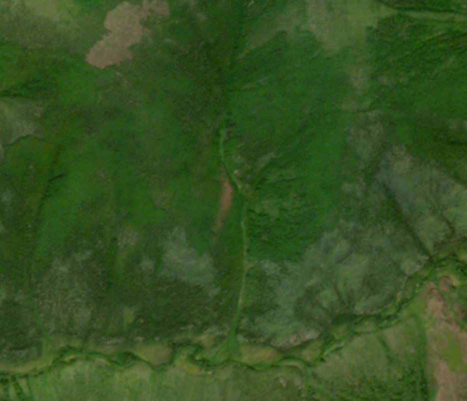 Sekai Chandra tweet media