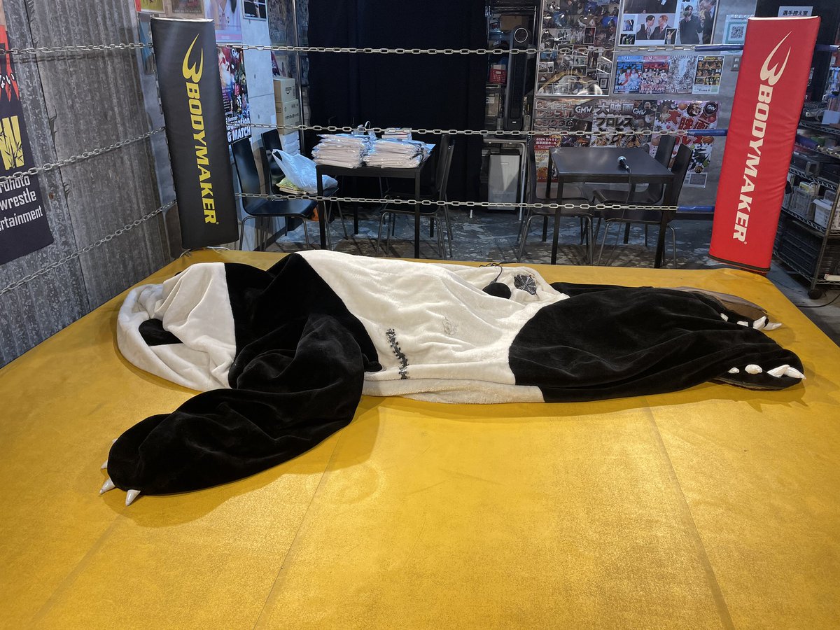 yaroutxt's tweet image. SNSやLINE等でさまざまな意思表示に使えそうな画像。ご自由にお使いください #アンドレザ・ジャイアントパンダ #パンダ #新根室プロレス