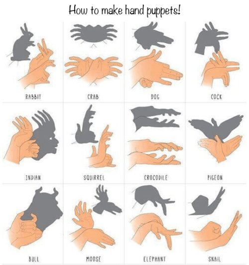 TodayiLearrned's tweet image. How to make hand puppets