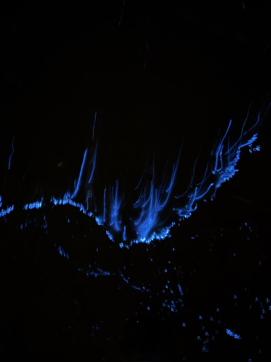 I love love love love 💙