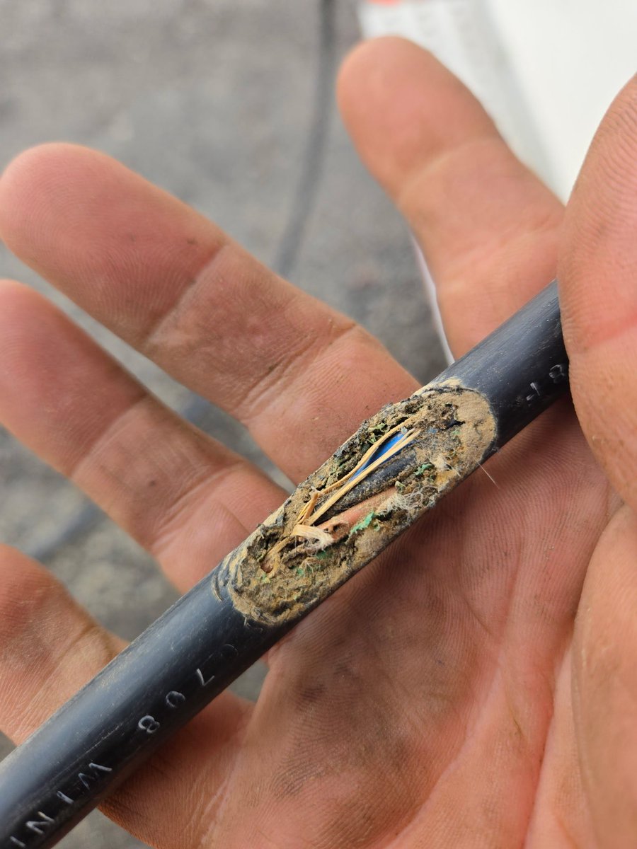 TracketPacer tweet media