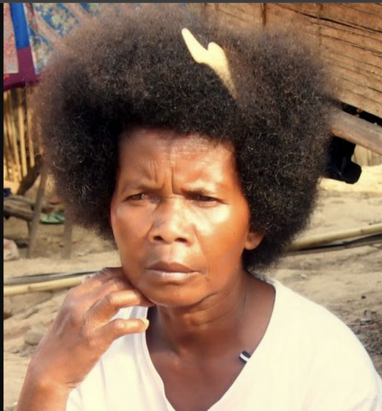 MelaninExtracts's tweet image. The Jahai people of Malaysia (🇲🇾)