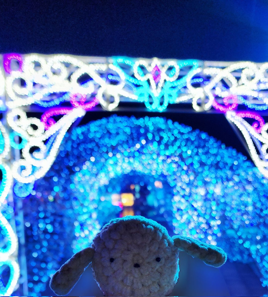 _brbu's tweet image. 