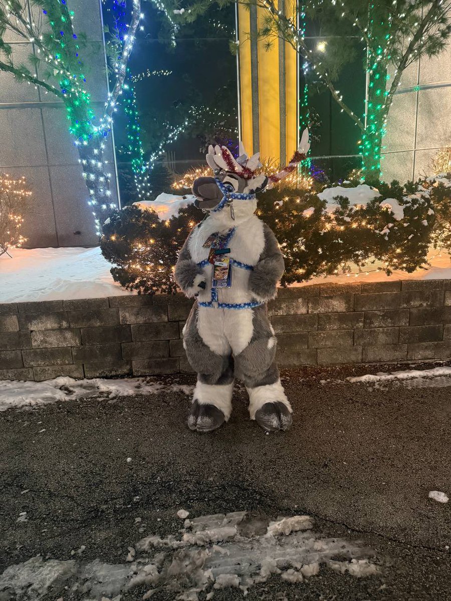 ❄️Aspen the Bou❄️ (they/he) 🏳️‍⚧️Θ∆ 🔜AC tweet media