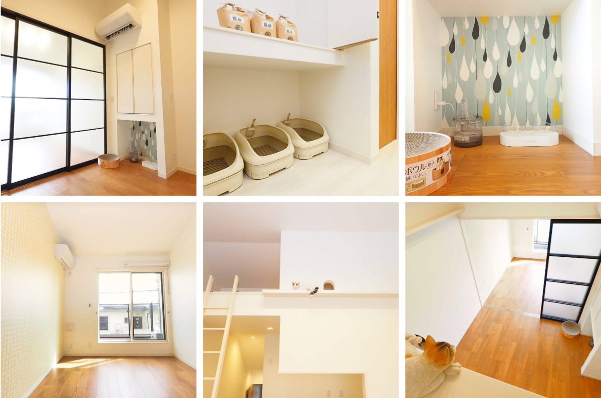 猫専用賃貸 Gatos Apartment (@Gatos_Apartment) / Posts / X