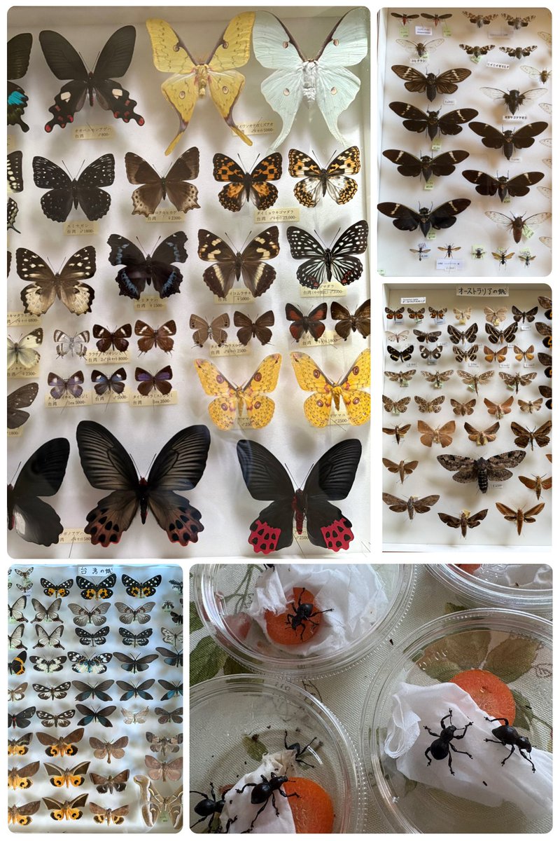 ケーアイ企画 (@cO0zMvwY507TELs) / Posts / X