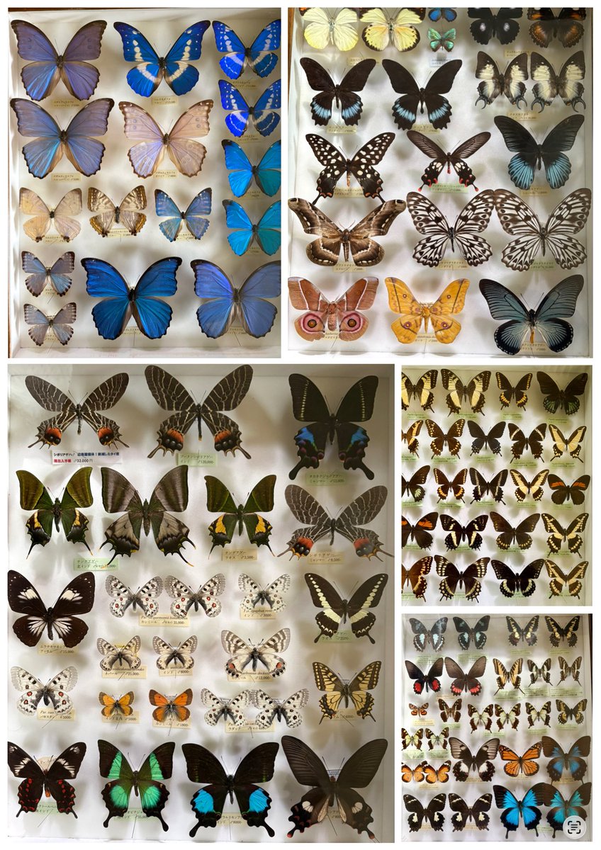 ケーアイ企画 (@cO0zMvwY507TELs) / Posts / X