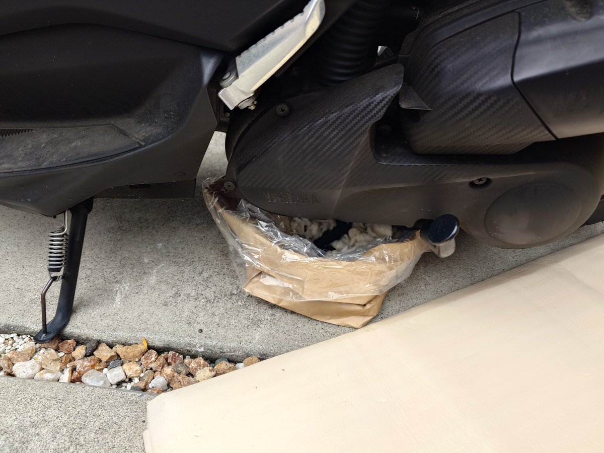 シケ (@Shike_5625cc) / Posts / X