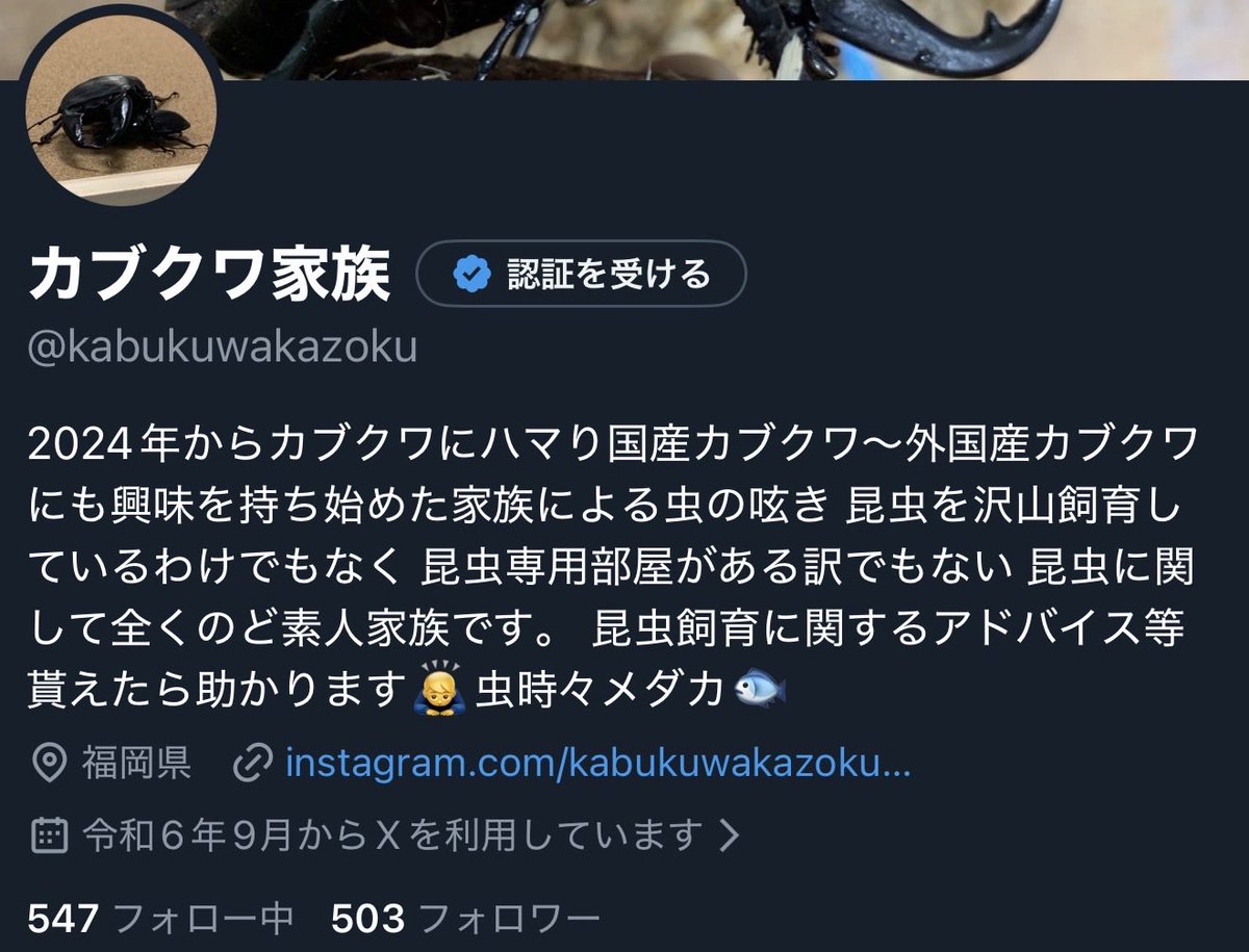 kabukuwakazoku's tweet photo. フォロワー500人突破したけんプレ企画しようか悩み中😂
500って俺の中で1つの節目な気がする🤔
今年はブリードほぼ出来なかったのと失敗続きであんまり種類いないけど🥲
候補としてはヘラヘラ幼虫、パラワン、スマトラ、ニジイロ、ギラファ、オオクワ辺りかな？🧐
このポストの反応次第で考えよう🤥
↓ https://t.co/Yh1gY1Zi5n