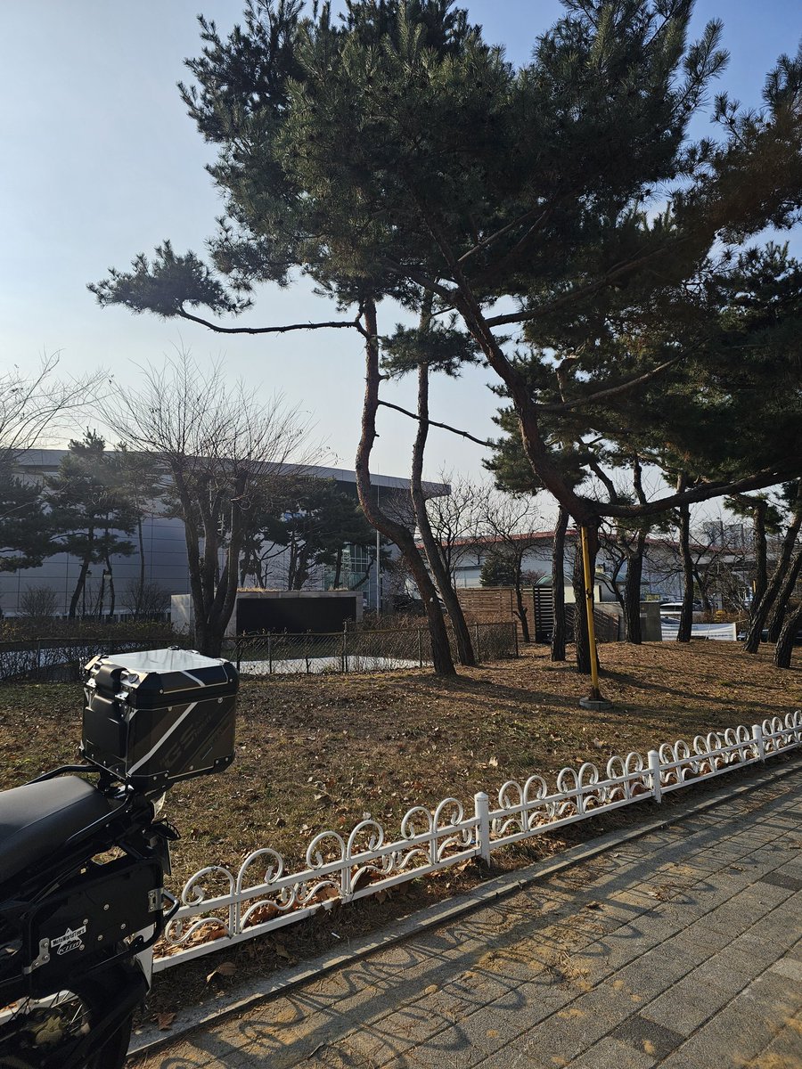 페르세우스_스텔라 tweet media