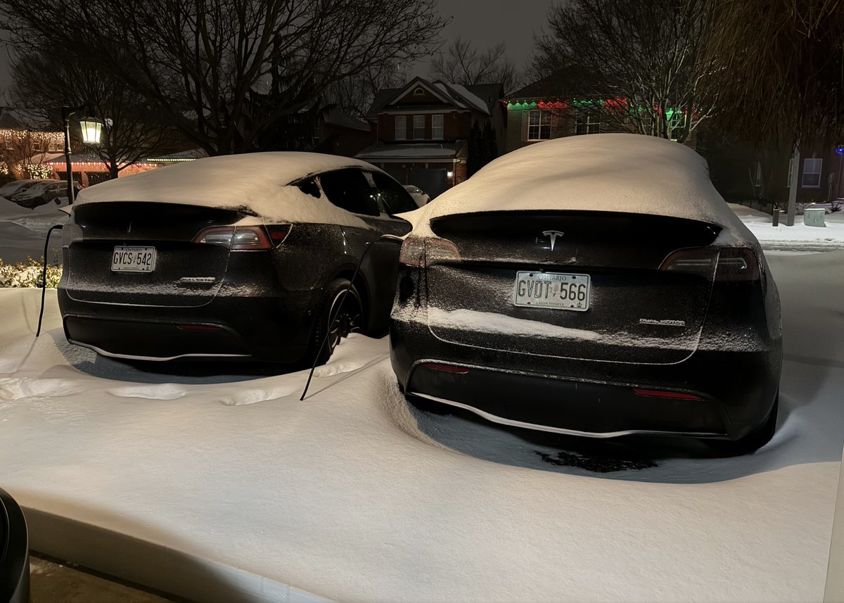 Nic Cruz Patane tweet media