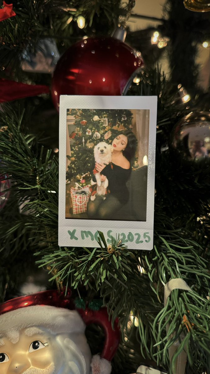 ashleyonix's tweet image. merry christmas guys🫶🏼