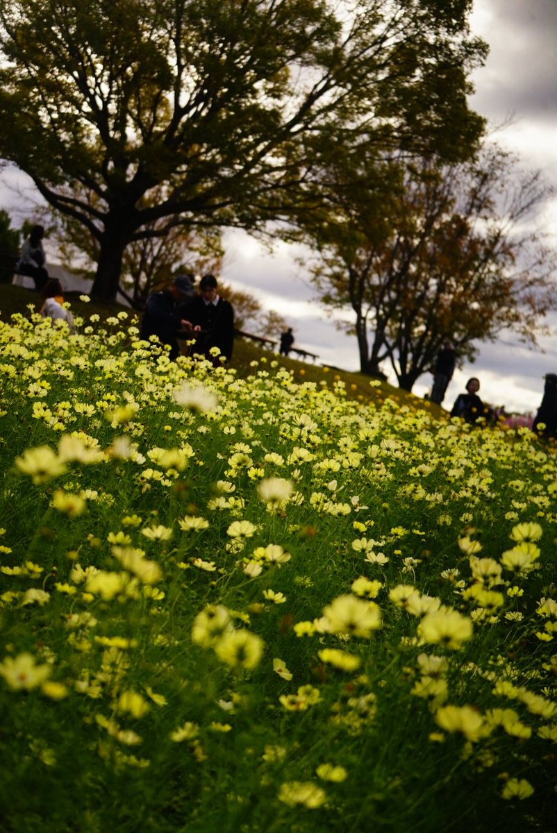 まこと (@yamakoto01) / Posts / X