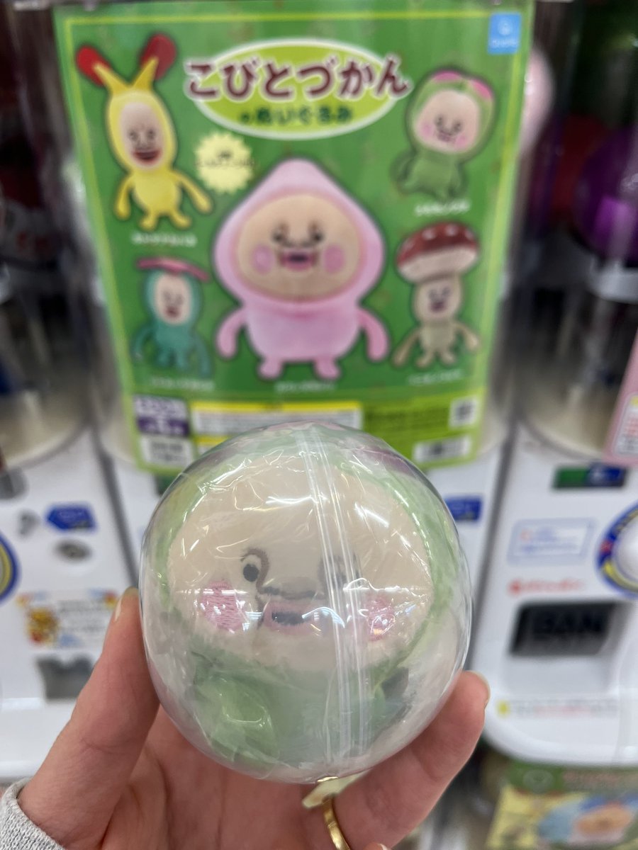 __it__ny__'s tweet photo. こびとづかん　こびとづかんのぬいぐるみ
ガチャ　ガチャガチャ　交換

譲：スモモノウチ

求：カクレモモジリ

郵送での交換希望

検索からでもお気軽にお声掛けください！ https://t.co/zVJ2XsFAZQ