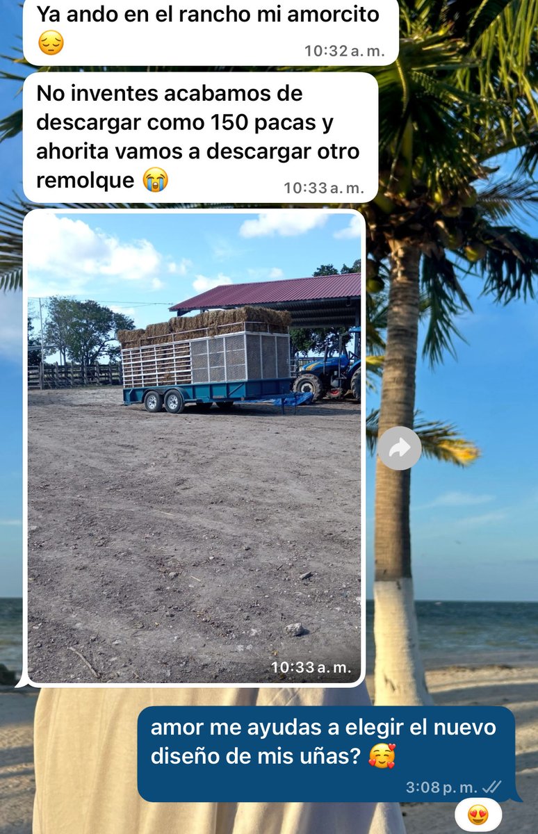 josslleon's tweet photo. mi novio estresado por el trabajo en el rancho

yo bien aburrida: https://t.co/p9hs2XKNAB