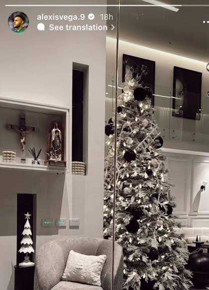 El árbol del 4 veces campeon del mundo // el de un wey de fuerzas básicas del Monterrey