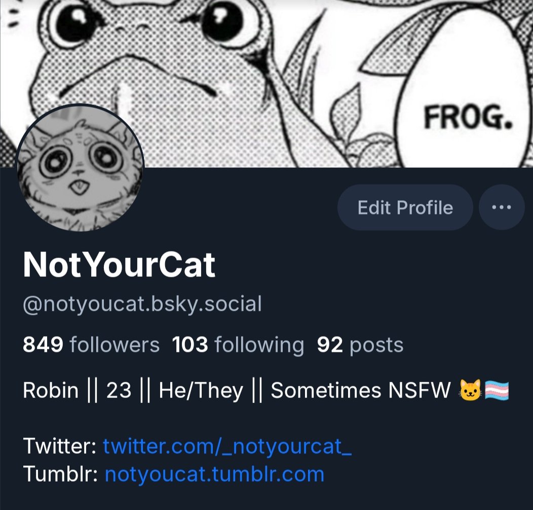 NotYourCat tweet media