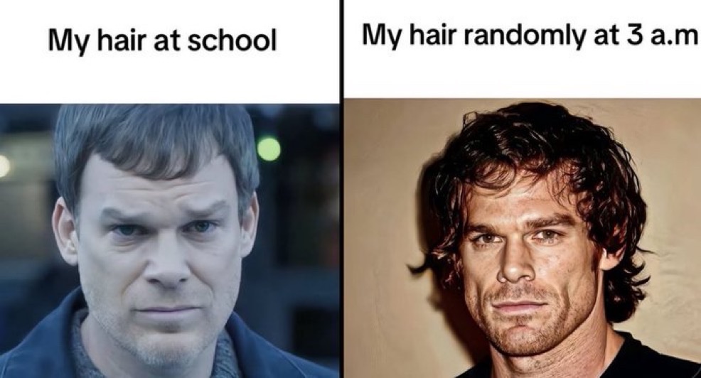 star 💫 tweet media