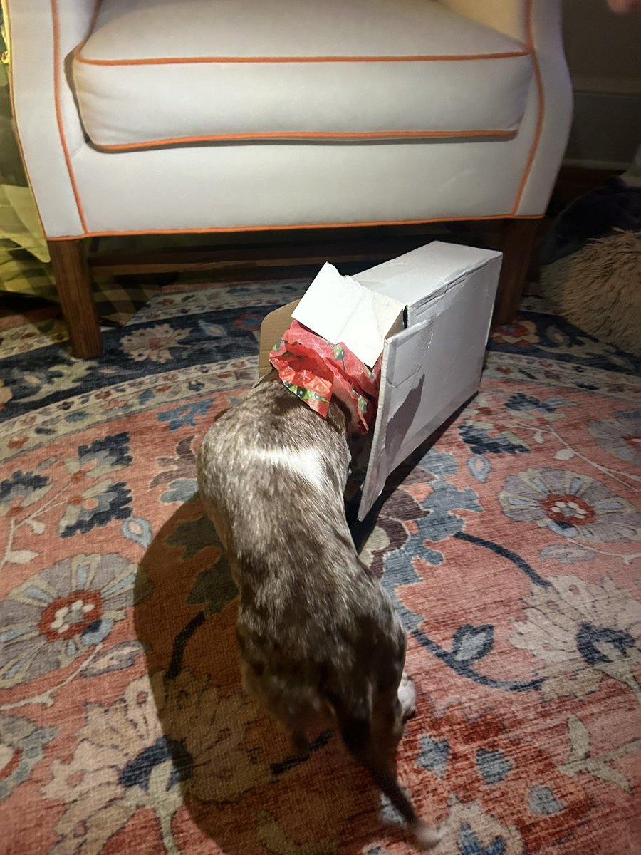 MissOcean tweet media