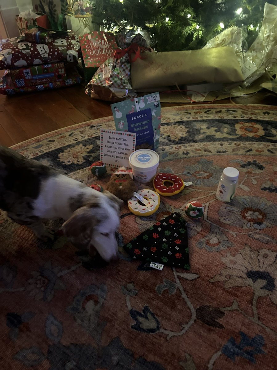 MissOcean tweet media