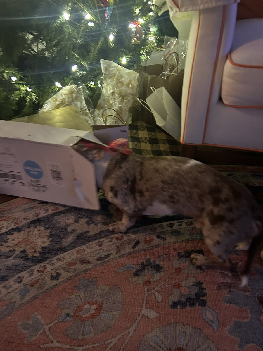 MissOcean tweet media