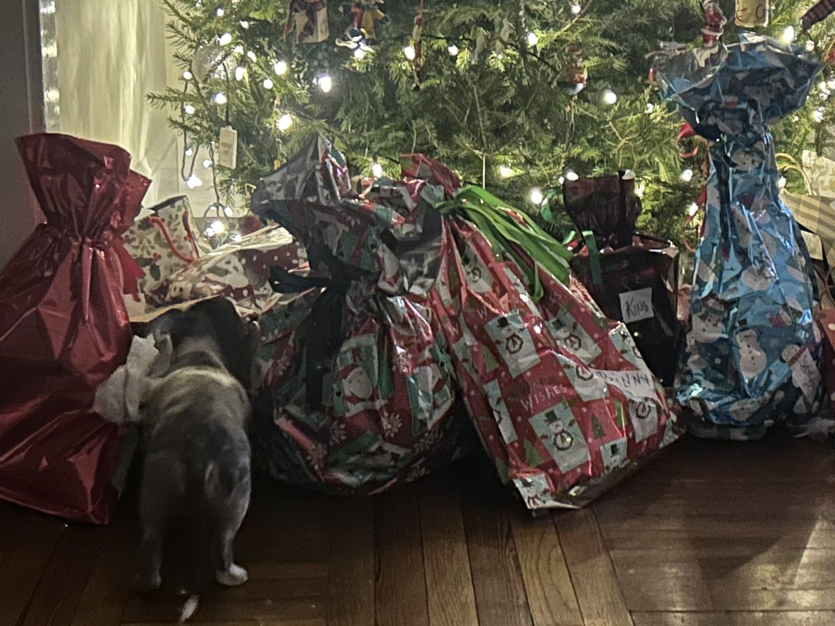 MissOcean tweet media