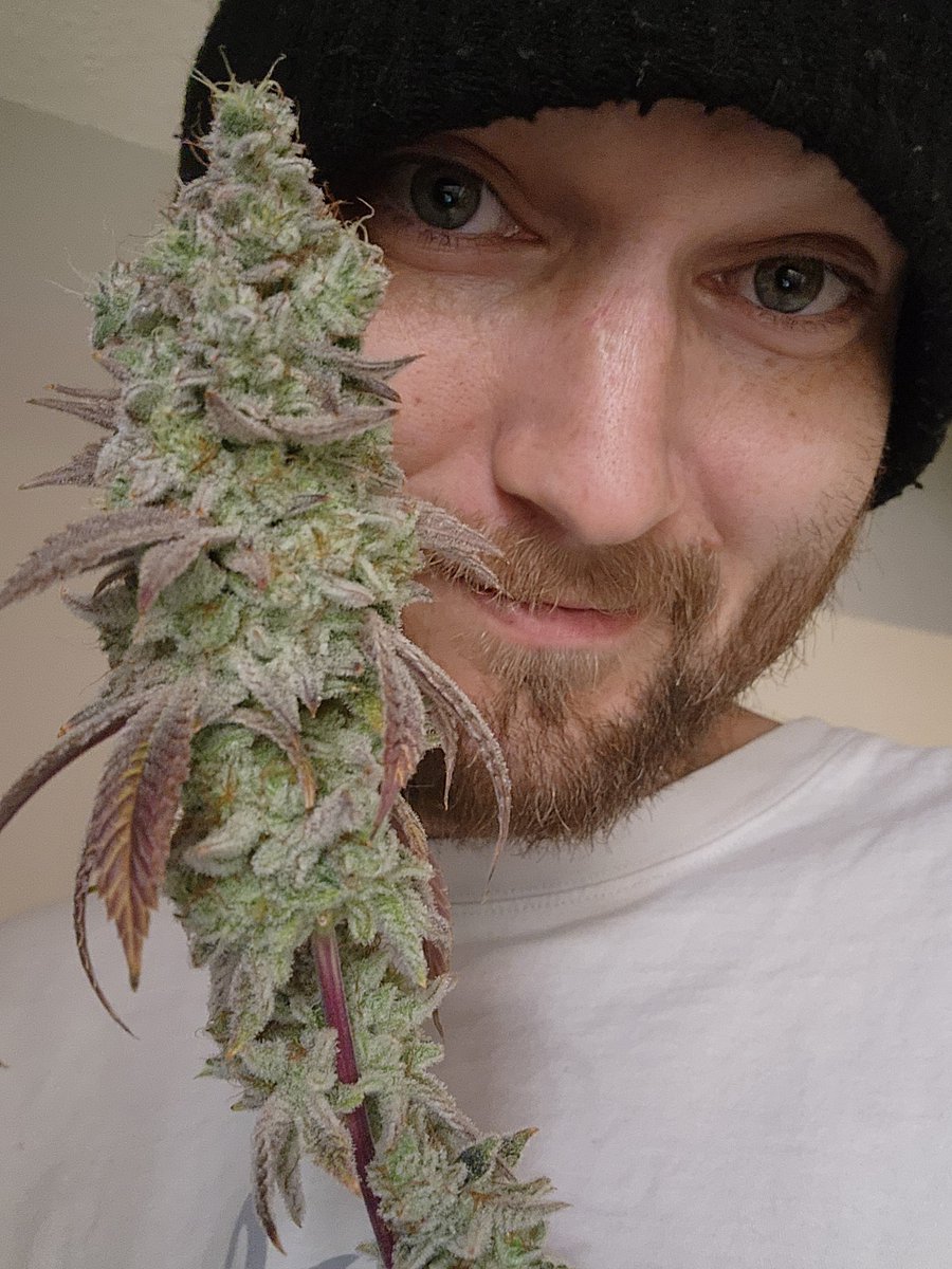 Hope Everyone had a Great Christmas 🎄