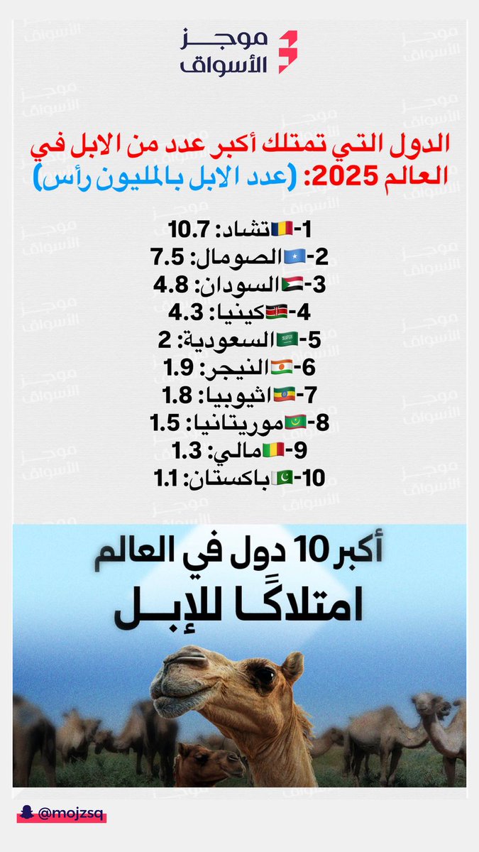THE WOLF OF TASI ™ tweet media