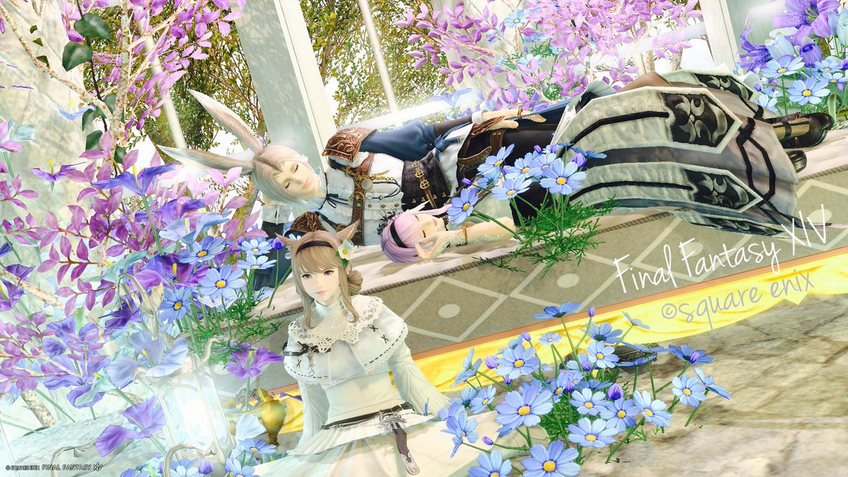 おはよん꒰՞ ܸ. . ܸ՞꒱ 昨日はちょこさん(@ChocoBahamut )に初めて