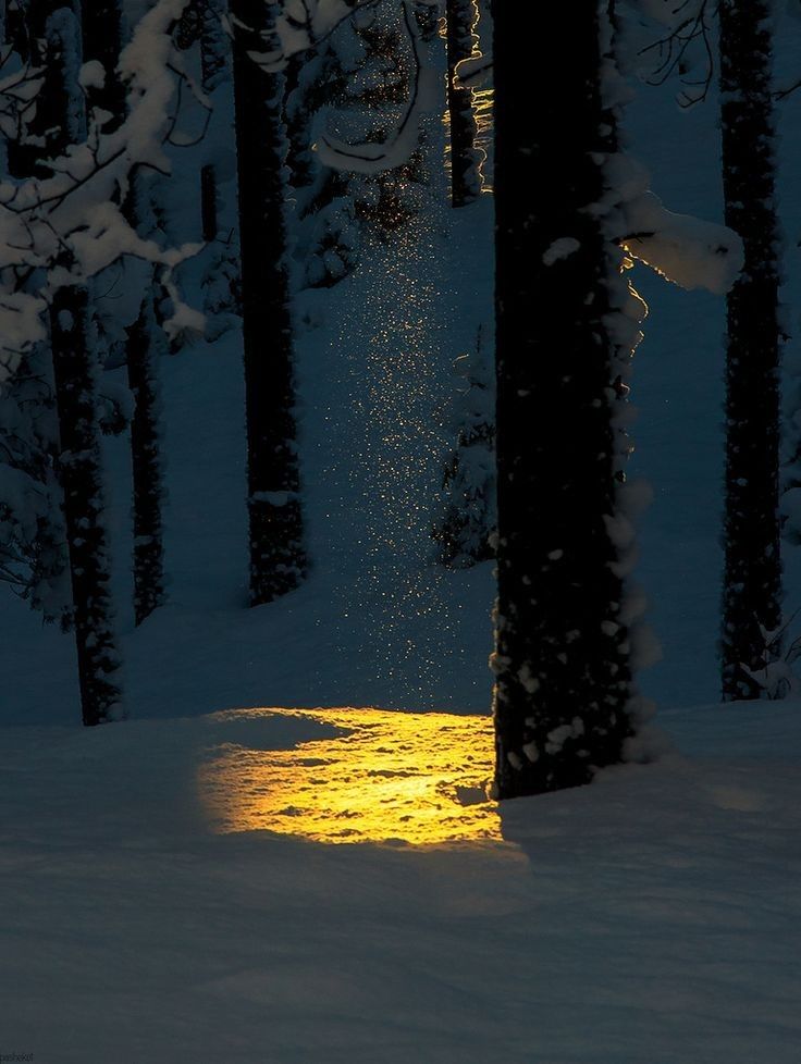 𝑎𝑒𝑠𝑡ℎ𝑒𝑡𝑖𝑐 𝑎𝑟𝑡 tweet media