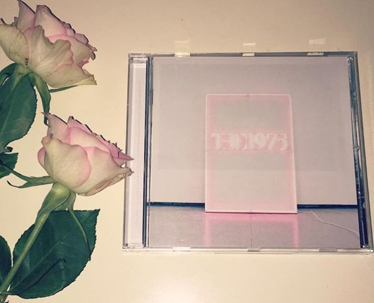 inthesunshelies's tweet image. these are the vibes i'm bringing to 2026