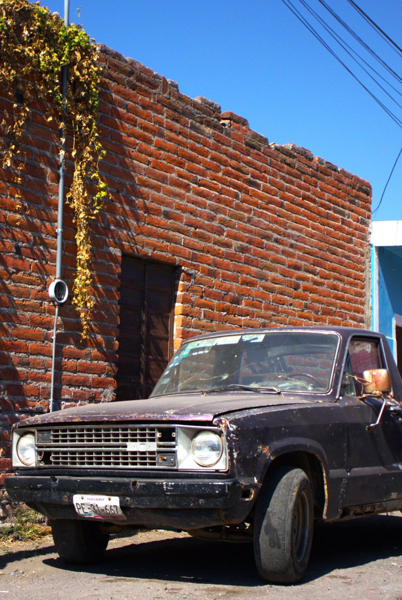 RigsMapache's tweet image. Más fotos, yeeeei