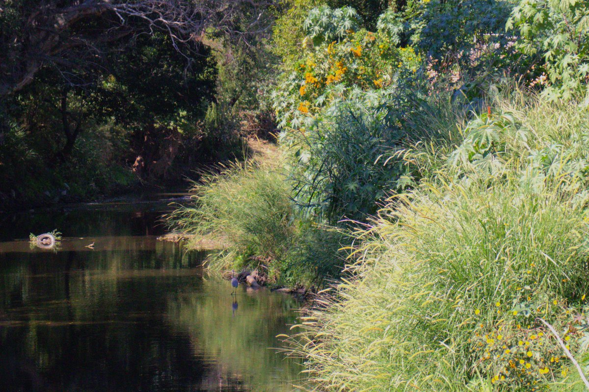 RigsMapache's tweet image. Más fotos, yeeeei