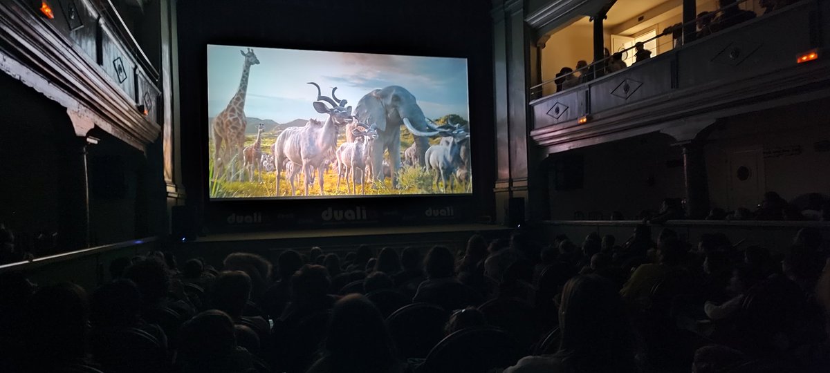 📽️🔊 Dualia Producciones ha llevado la magia del cine al Teatro de Medina de Rioseco con la proyección de Mufasa, ¡y el resultado no pudo ser mejor! 🙌

Sala llena, gran ambiente y muchas ganas de disfrutar del cine en pantalla grande.

Gracias a todos  ❤️🎥