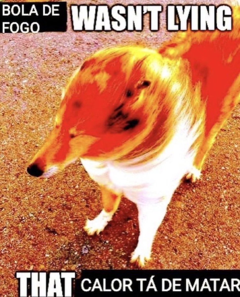 SapoSmoke (@saposmoke) on Twitter photo 