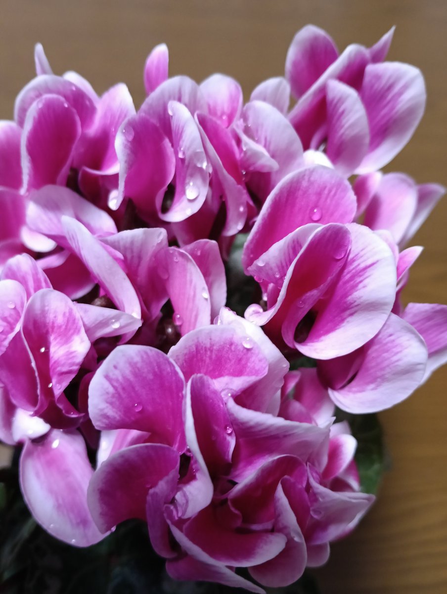 おはようございます。 面白かったな。ページが進む進む📕借りたから