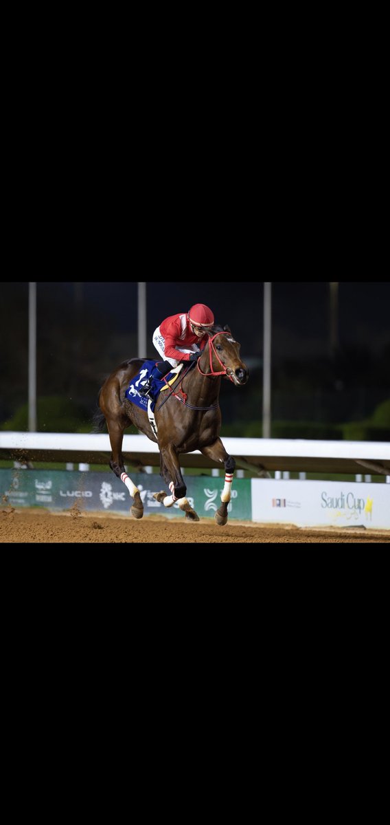almedan8's tweet photo. ذياف وأميرة الزمان يتوجون بكاس الملك عبدالله والامير سلطان في امسية كؤوس الملوك٠🏆❤️🏆
الف مبروك لقلعة الكؤوس والامير المحبوب فيصل الخالد

ذياف❤️🧲❤️
هذا والله اللي ياكل بذراعه ويشرب بيمناه🟥
حي والله هالذراع وحي والله هاليمنى🟥

اللورد سامي الحرابي مدرب الايام الكبيرة✌️🧲✌️ https://t.co/qyrUKmhIyt